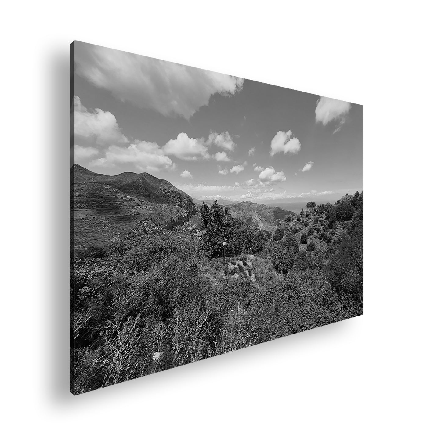 Hauptbild Schwarz & Weiß Standart