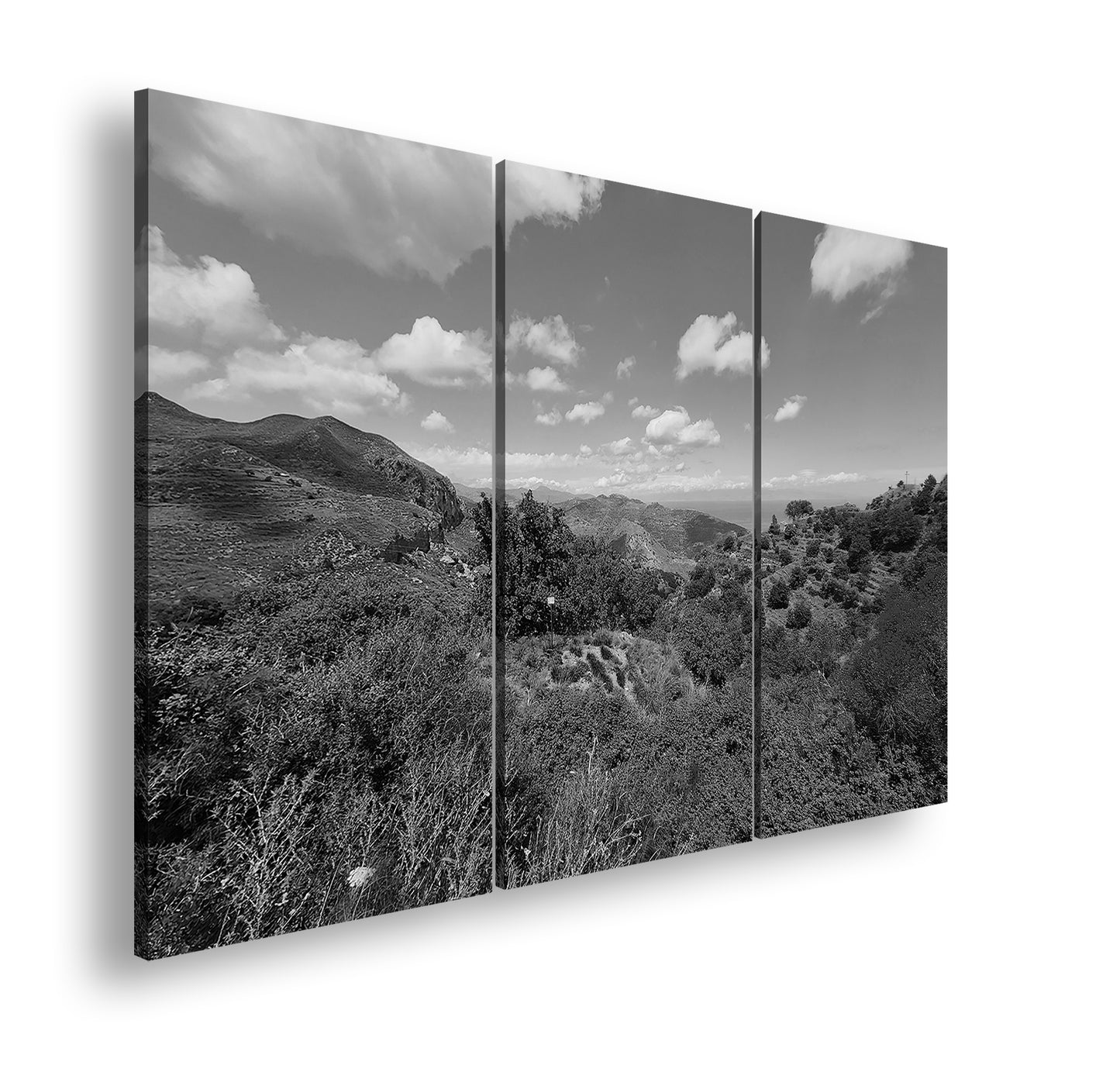 Hauptbild Schwarz & Weiß 3 Teilig