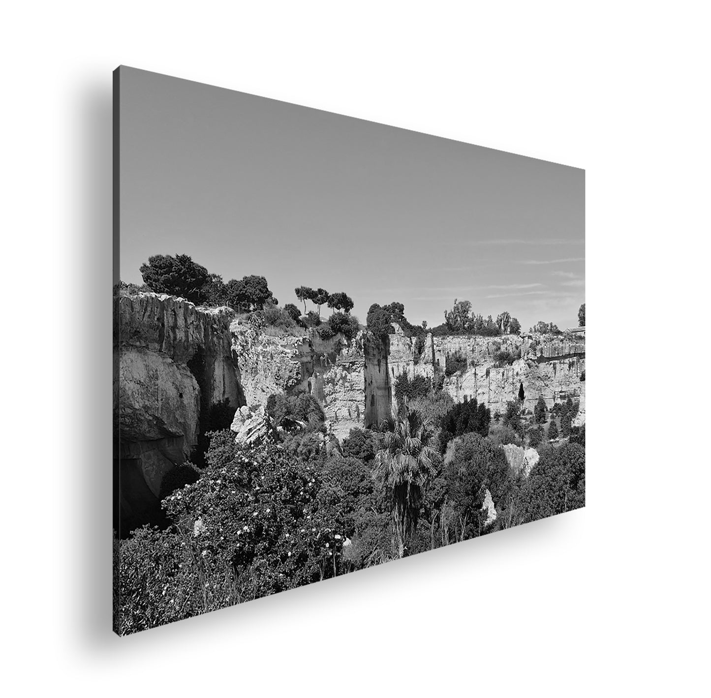 Hauptbild Schwarz & Weiß Standart