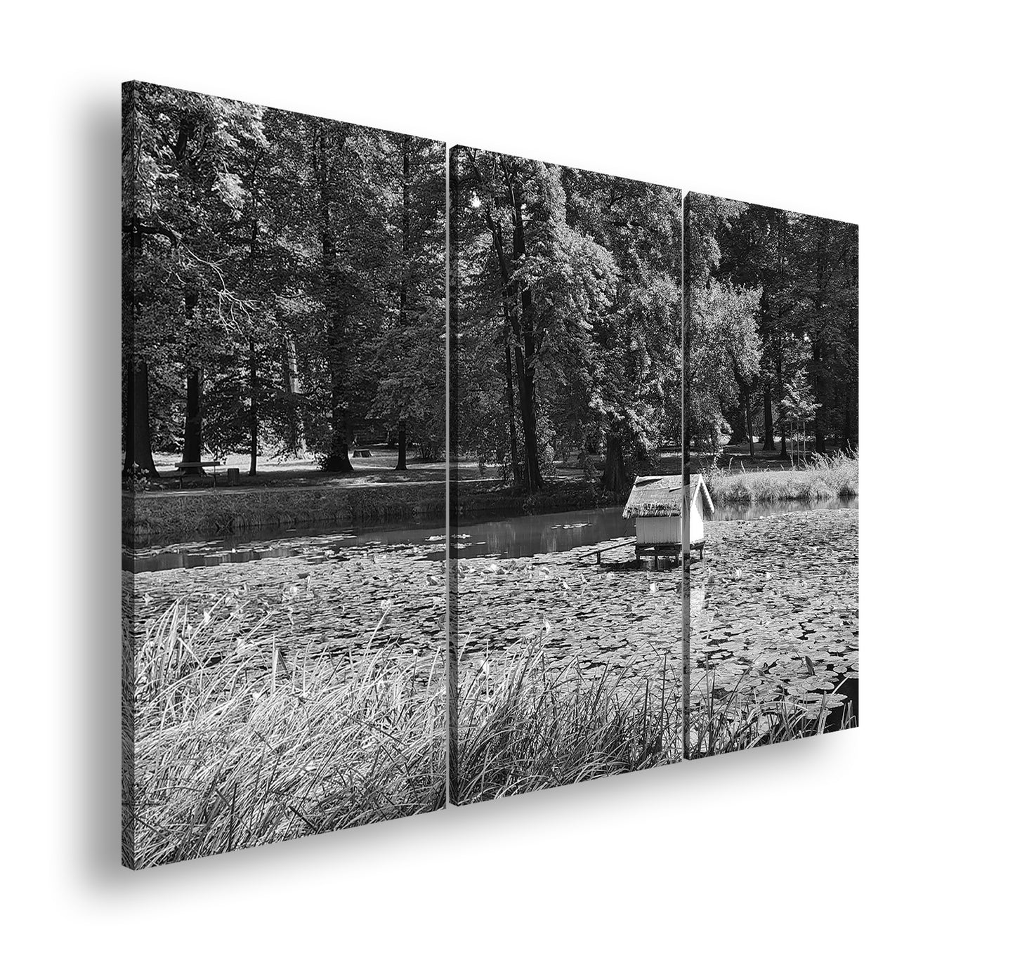 Hauptbild Schwarz & Weiß 3 Teilig