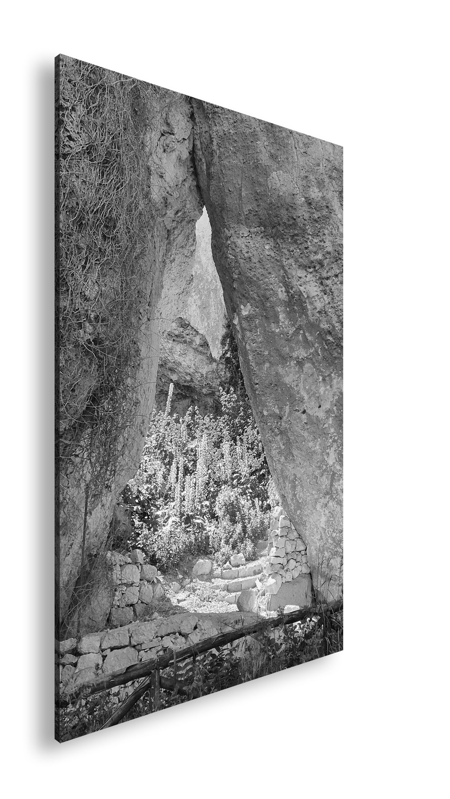 Hauptbild Schwarz & Weiß Standart