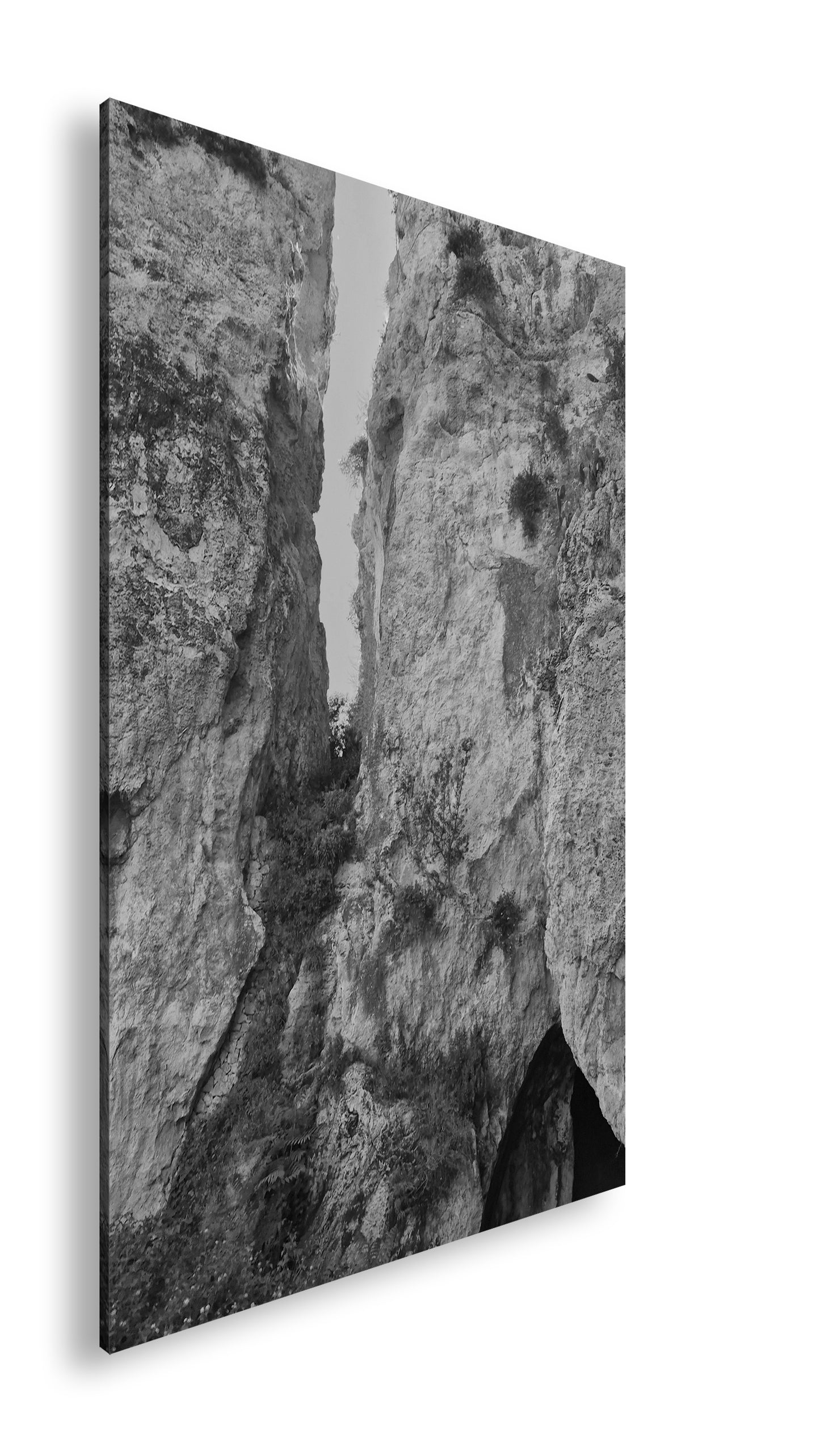 Hauptbild Schwarz & Weiß Standart