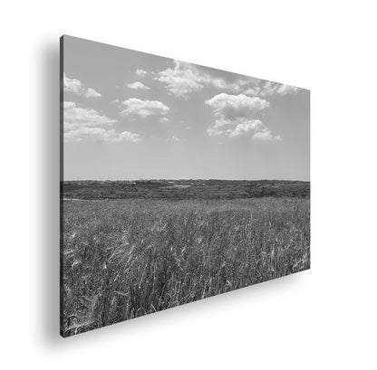 Hauptbild Schwarz & Weiß Standart