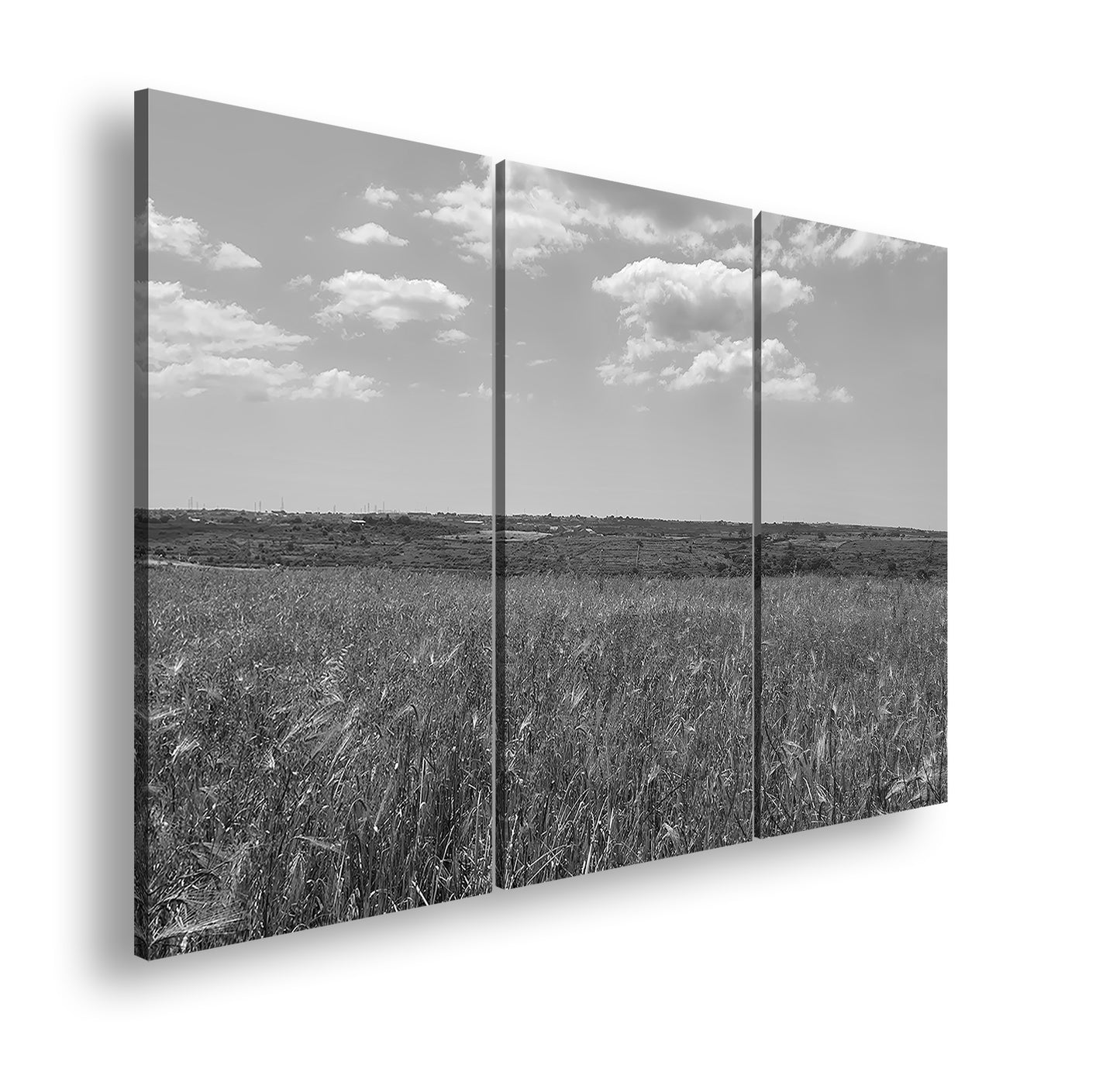 Hauptbild Schwarz & Weiß 3 Teilig