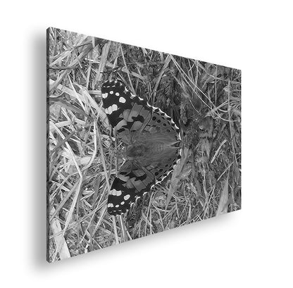 Hauptbild Schwarz & Weiß Standart