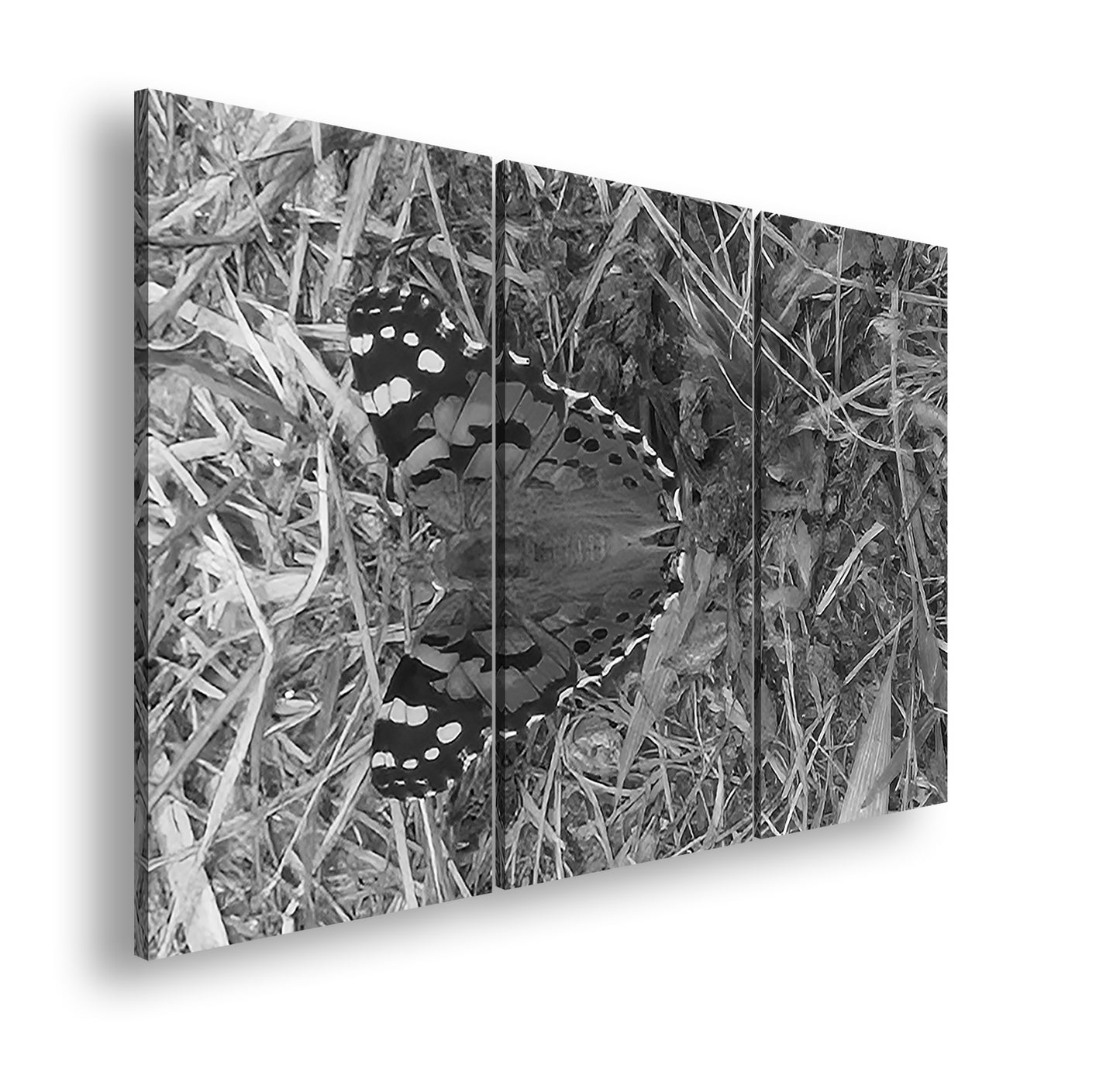 Hauptbild Schwarz & Weiß 3 Teilig