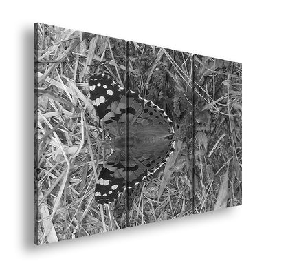 Hauptbild Schwarz & Weiß 3 Teilig