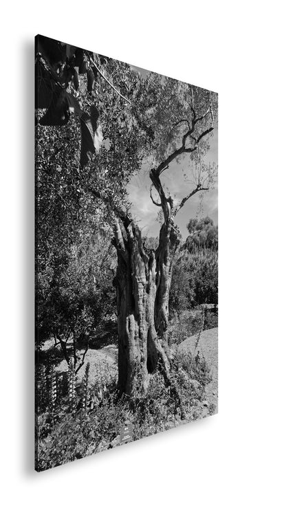 Hauptbild Schwarz & Weiß Standart