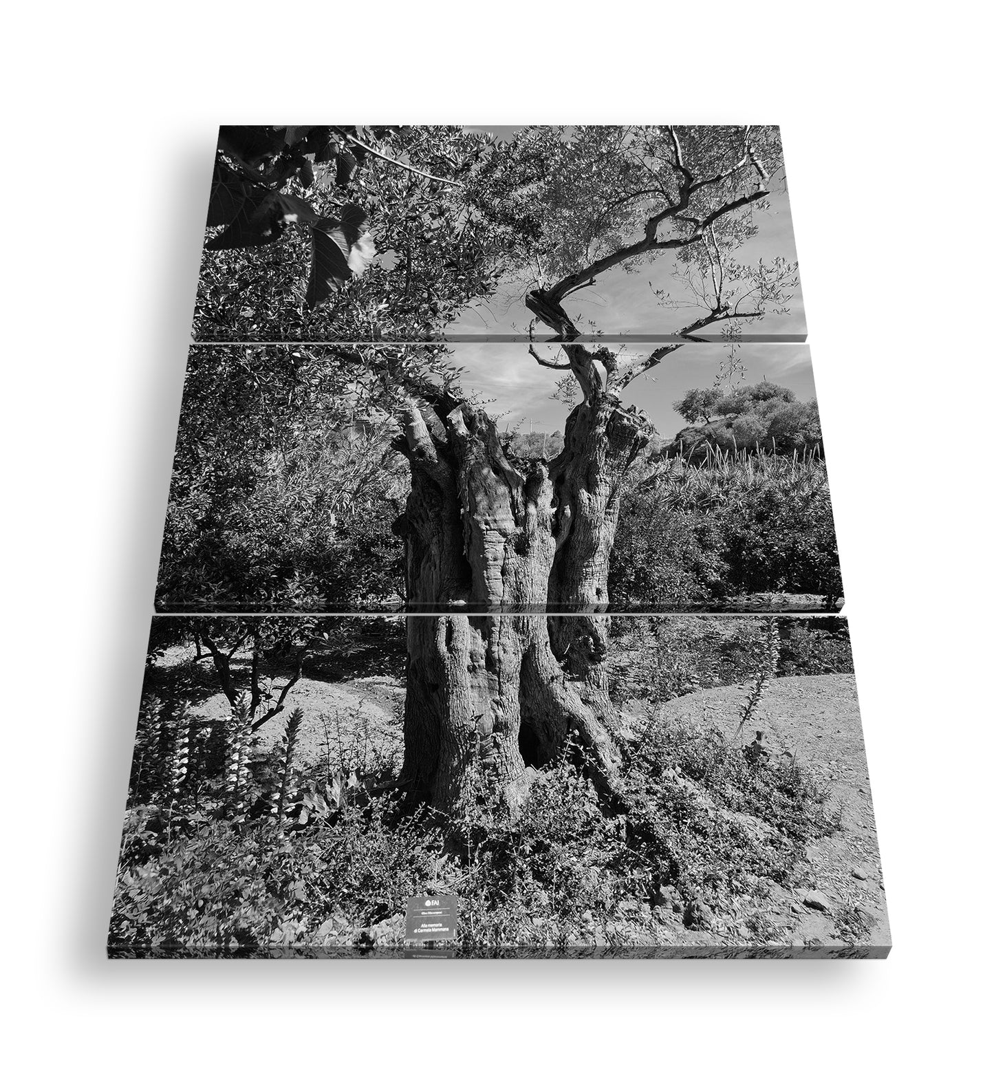 Hauptbild Schwarz & Weiß 3 Teilig