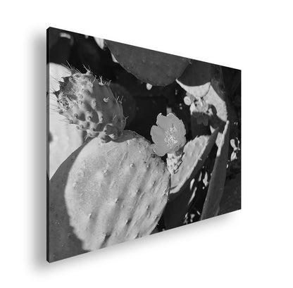 Hauptbild Schwarz & Weiß Standart