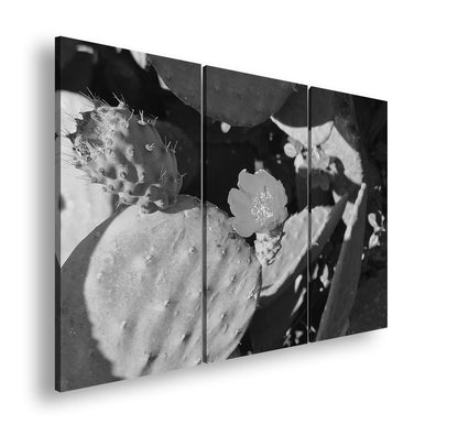 Hauptbild Schwarz & Weiß 3 Teilig