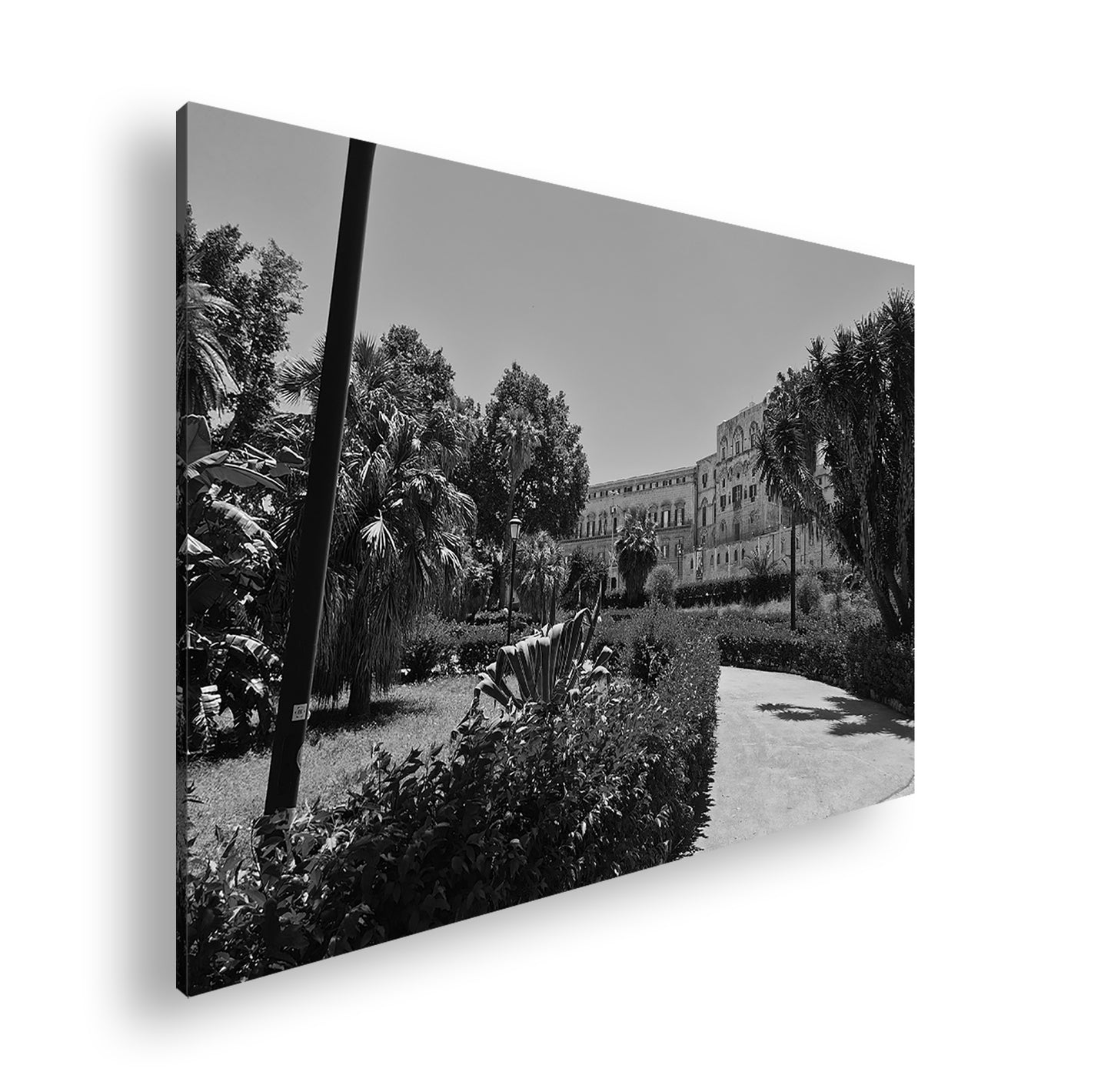 Hauptbild Schwarz & Weiß Standart