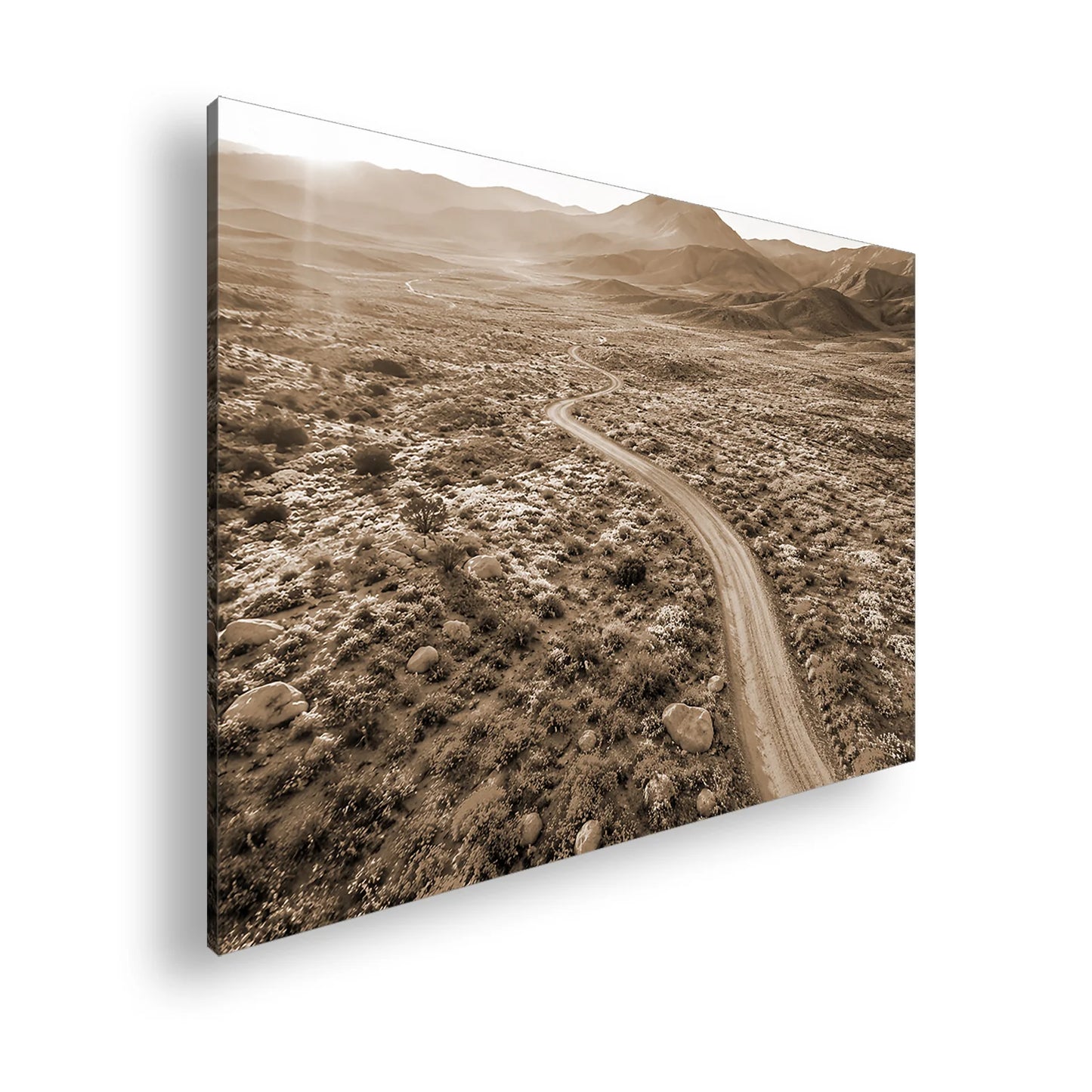 Hauptbild Sepia Standart