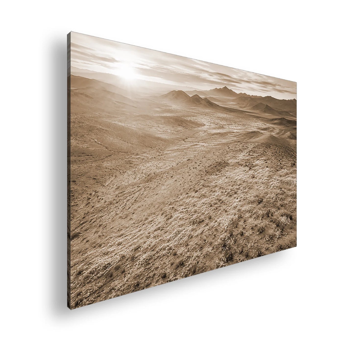 Hauptbild Sepia Standart