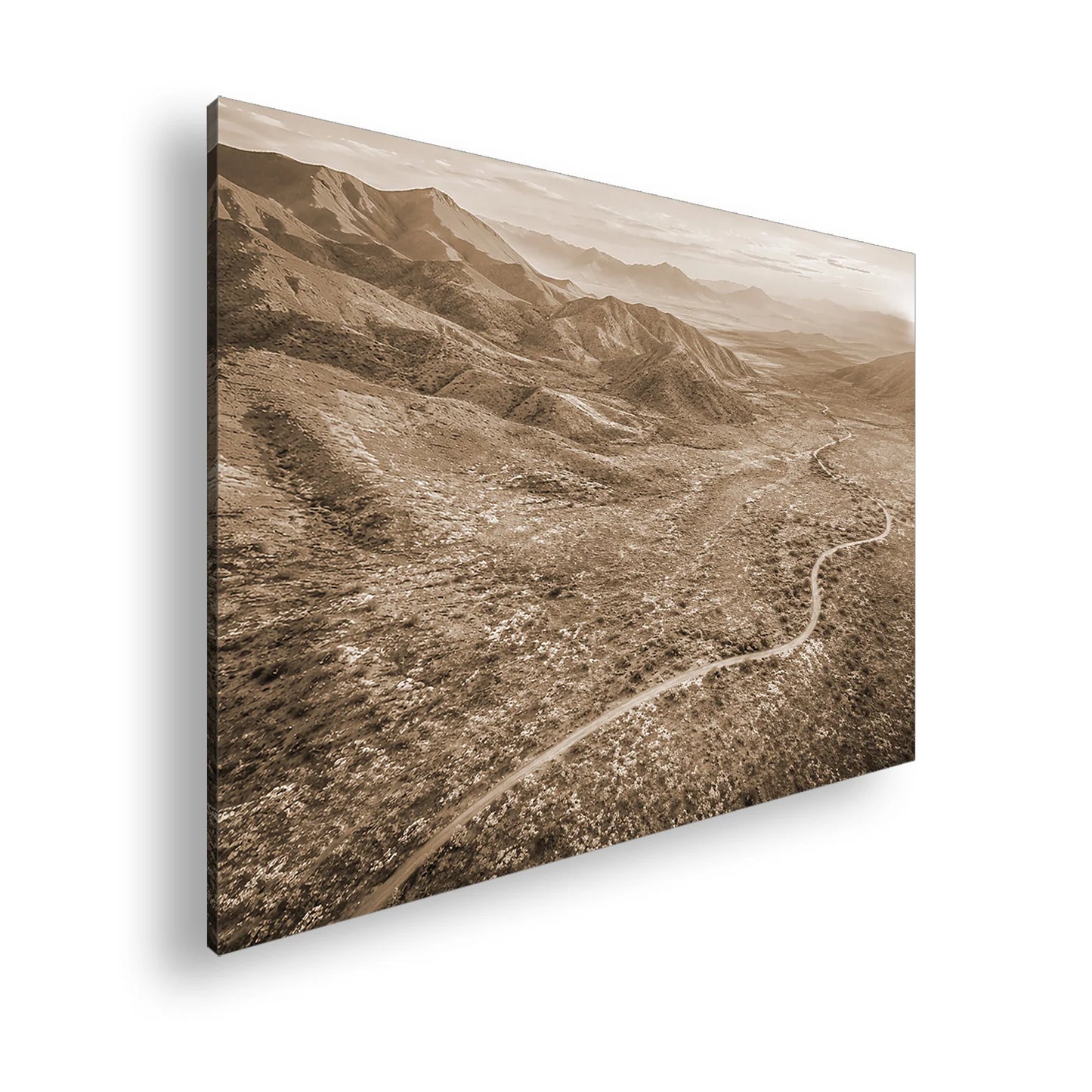 Hauptbild Sepia Standart