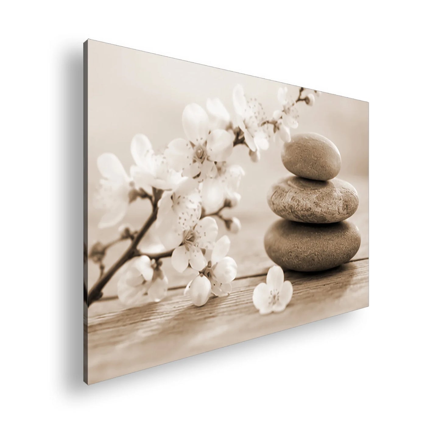 Hauptbild Sepia Standart