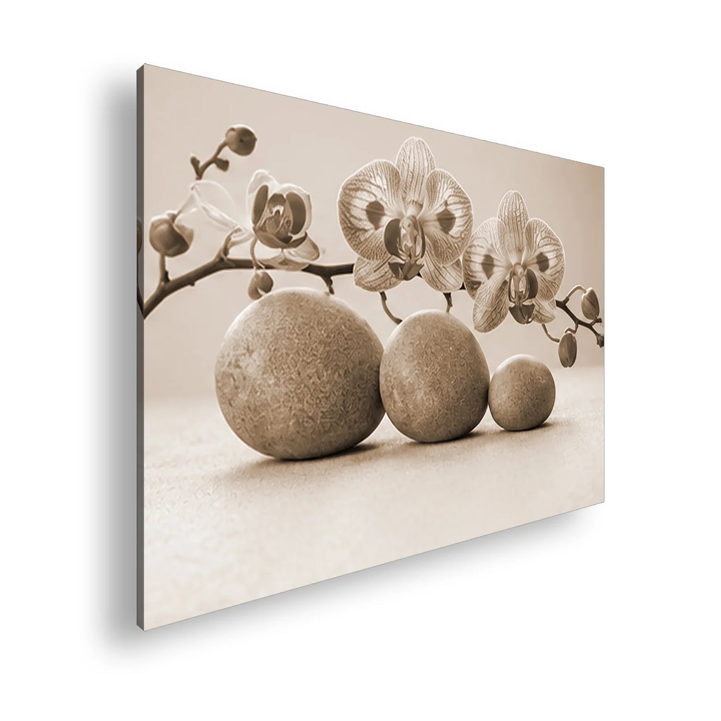 Hauptbild Sepia Standart