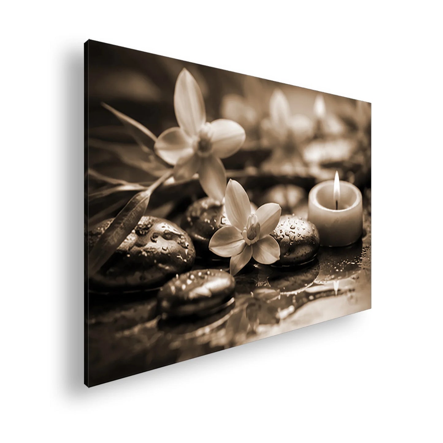 Hauptbild Sepia Standart