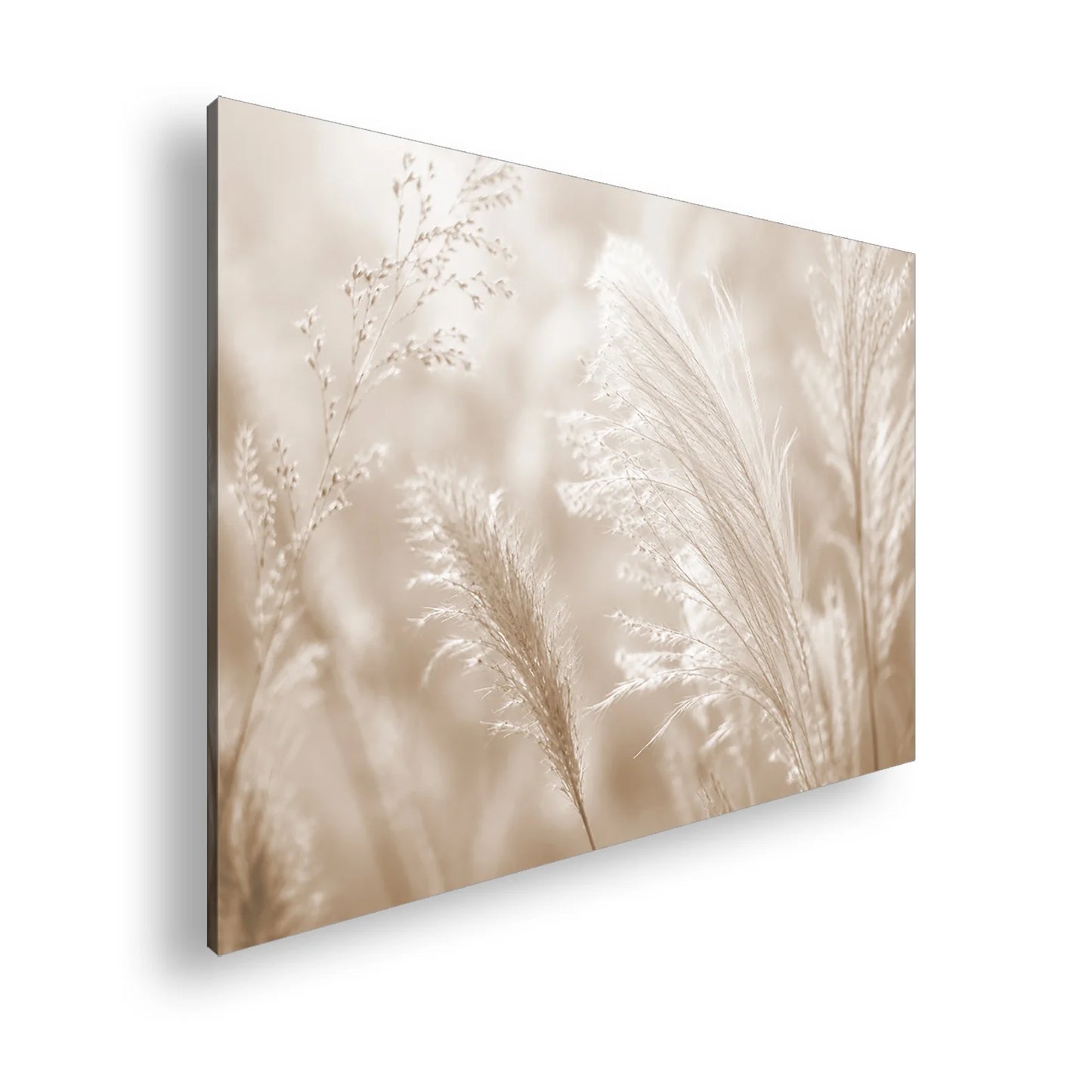 Hauptbild Sepia Standart