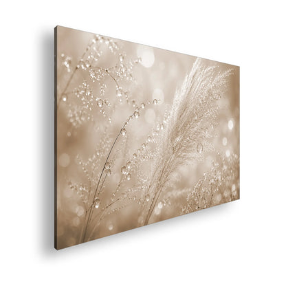 Hauptbild Sepia Standart