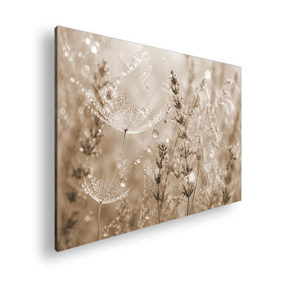 Hauptbild Sepia Standart