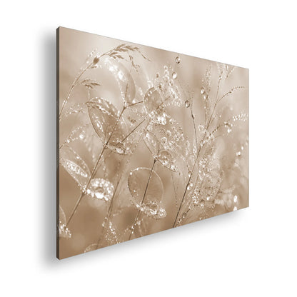 Hauptbild Sepia Standart