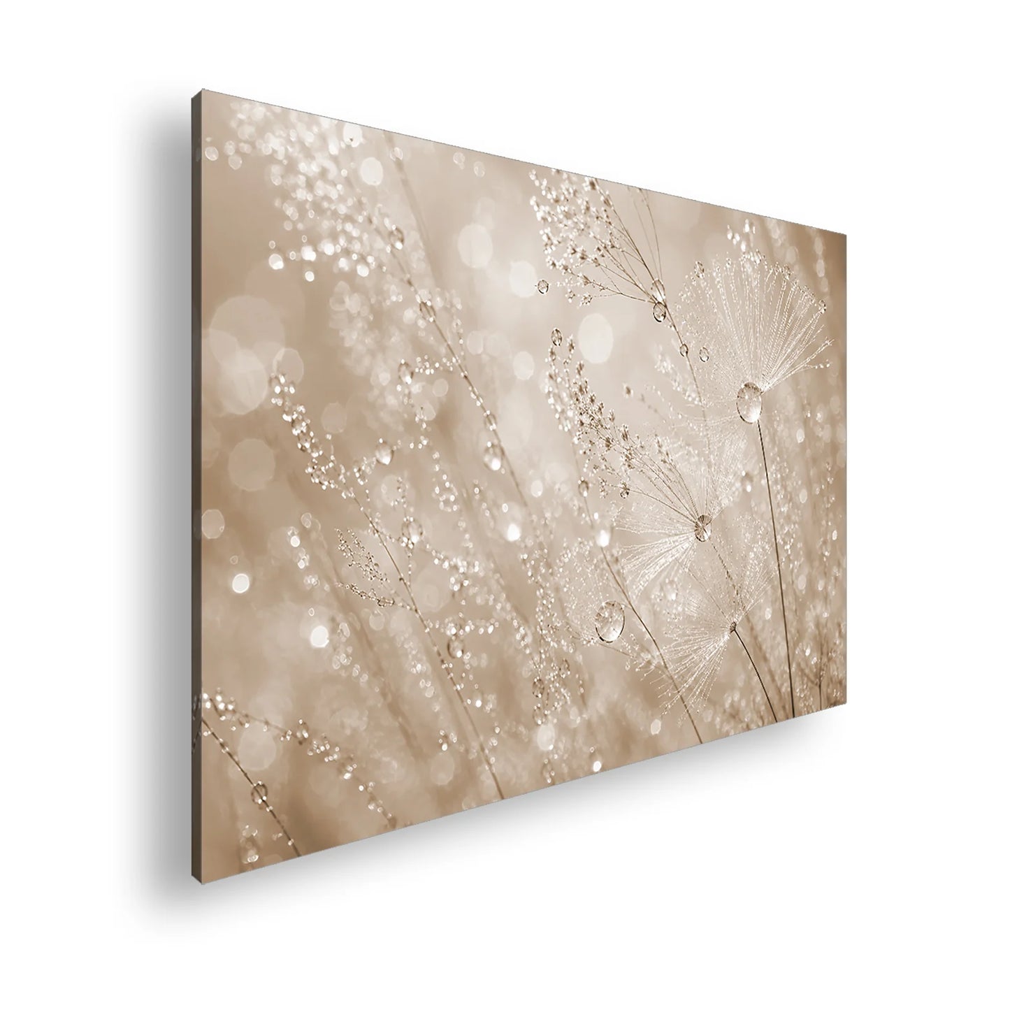 Hauptbild Sepia Standart