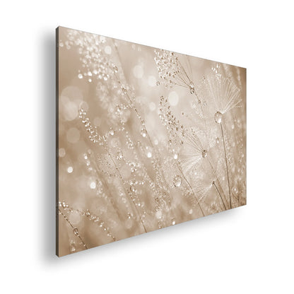 Hauptbild Sepia Standart