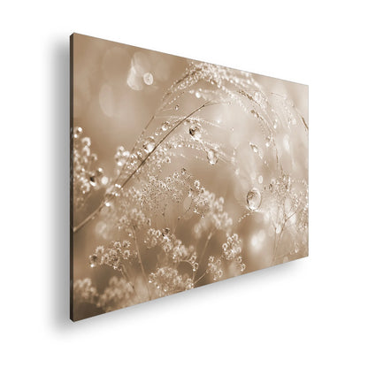 Hauptbild Sepia Standart