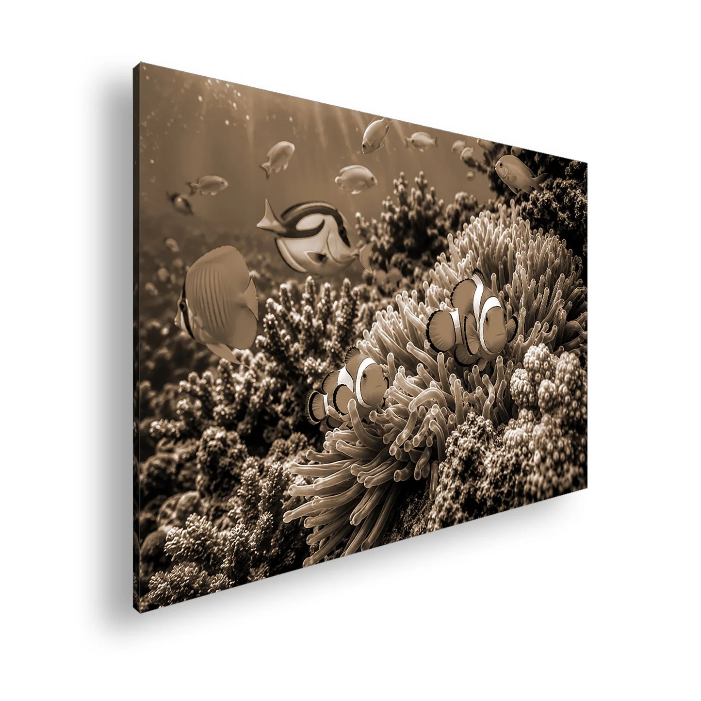 Hauptbild Sepia Standart