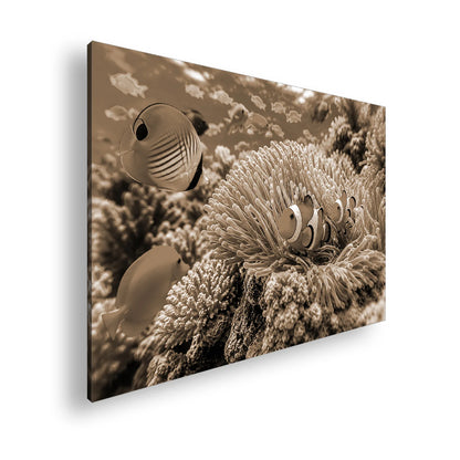 Hauptbild Sepia Standart