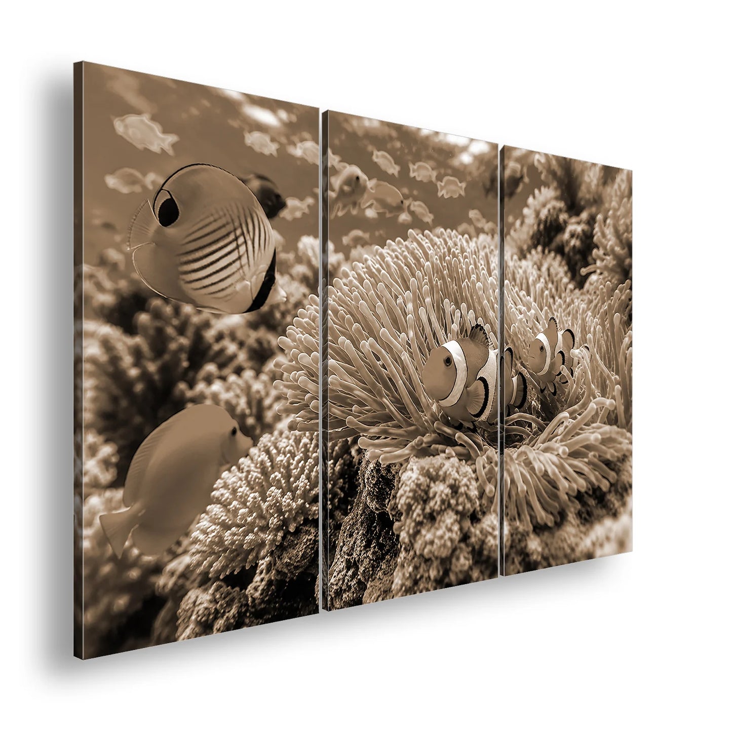 Hauptbild Sepia 3 Teilig