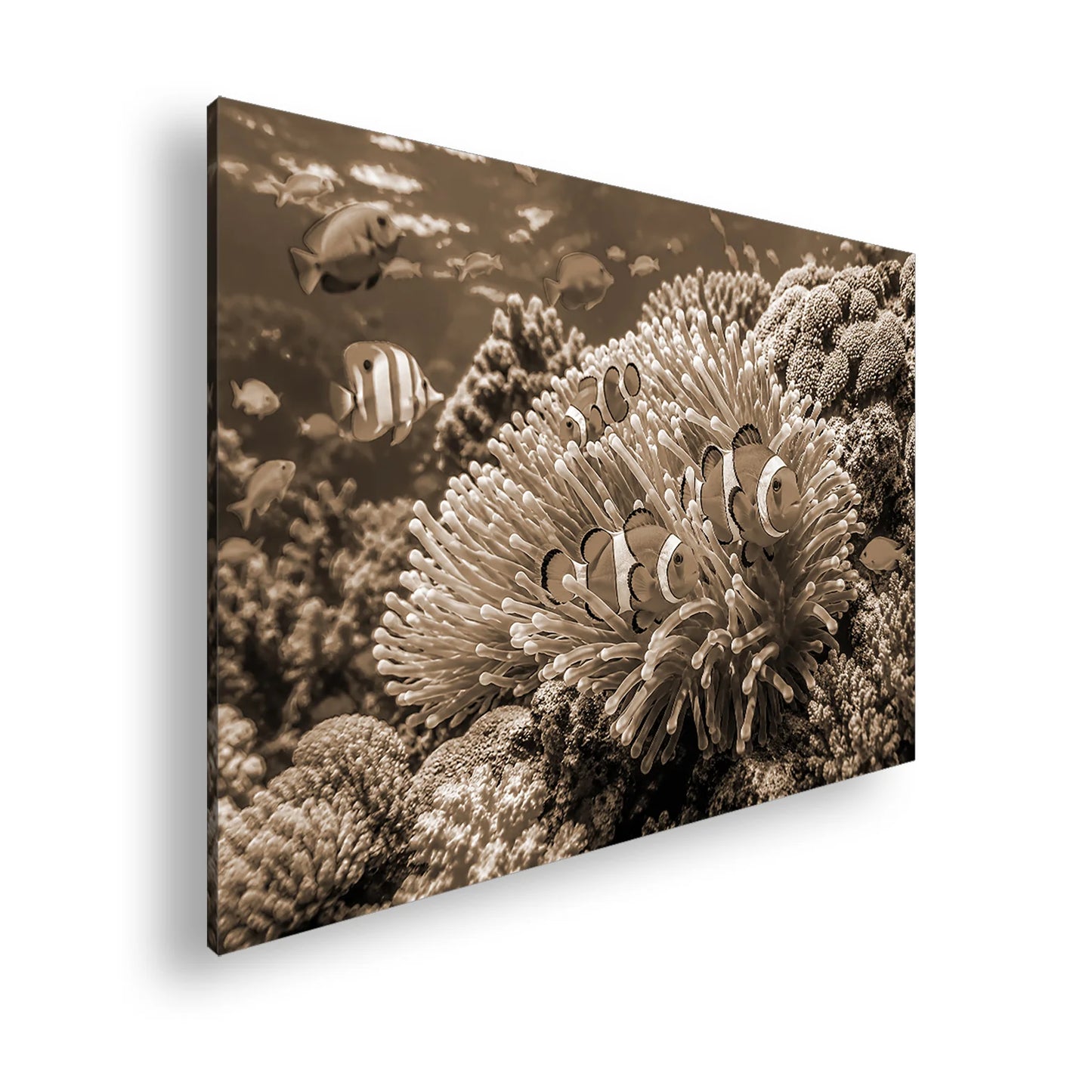 Hauptbild Sepia Standart