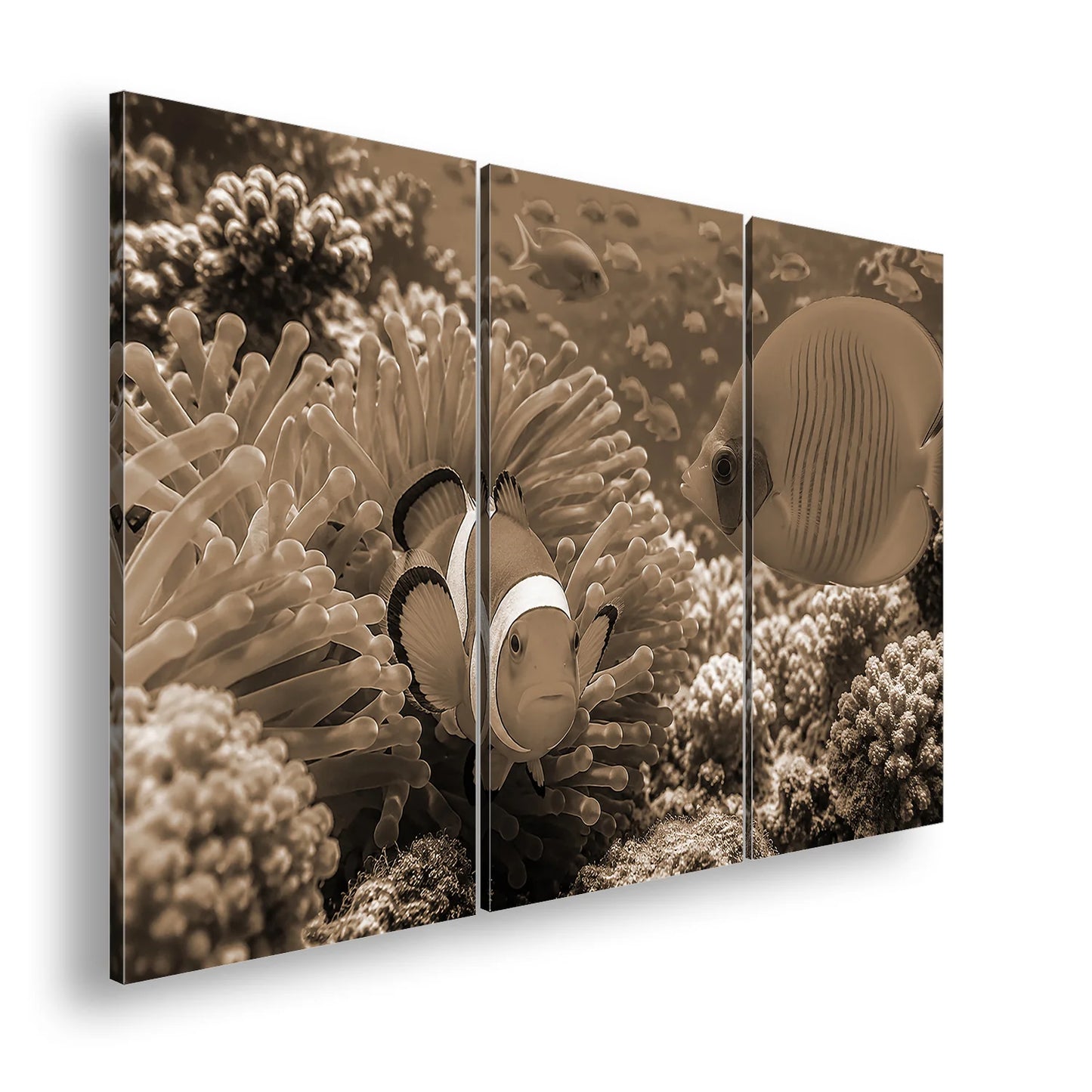 Hauptbild Sepia 3 Teilig