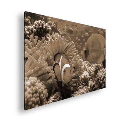 Hauptbild Sepia Standart