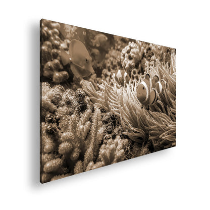 Hauptbild Sepia Standart