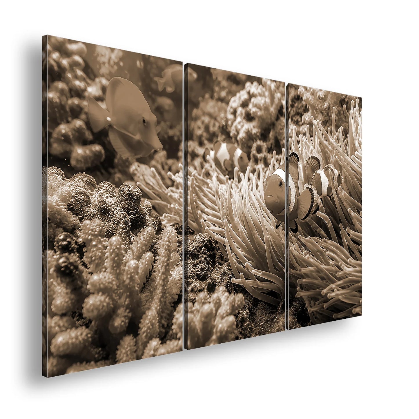 Hauptbild Sepia 3 Teilig