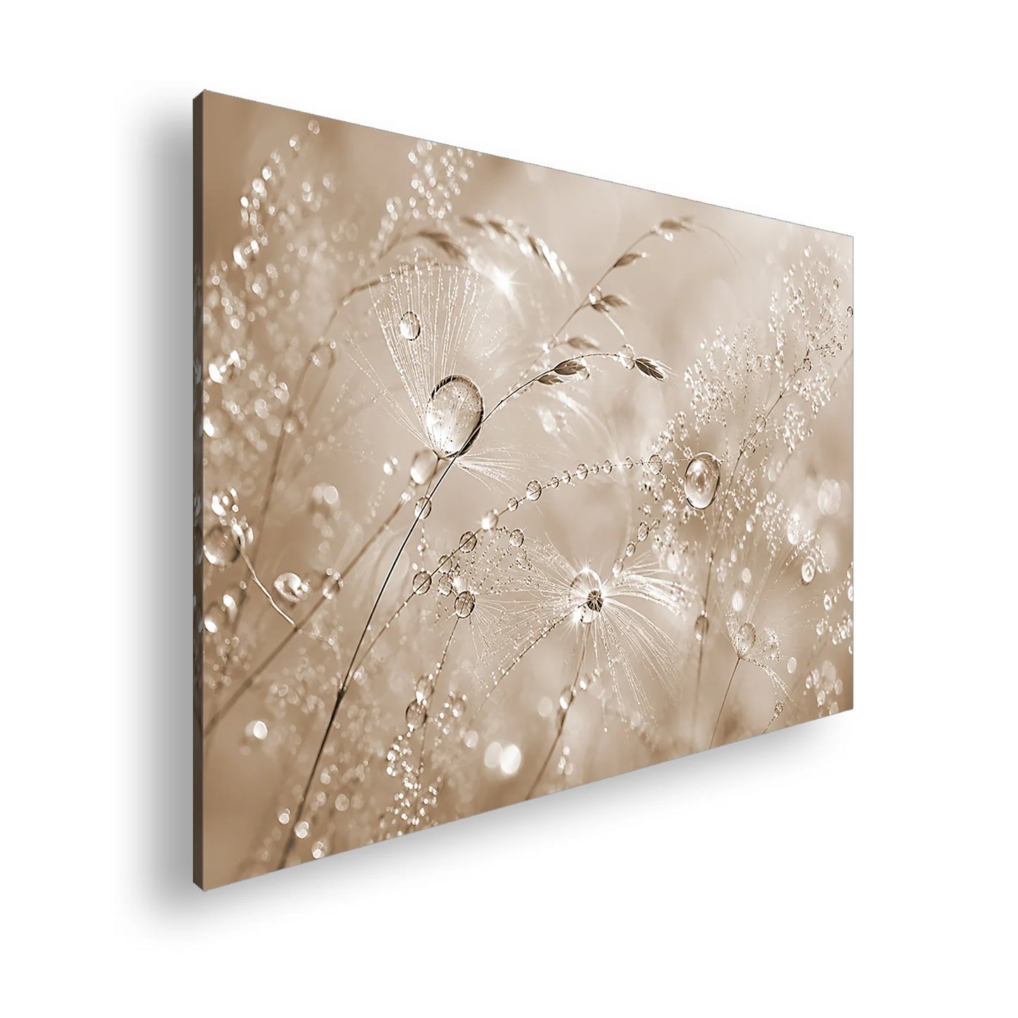Hauptbild Sepia Standart