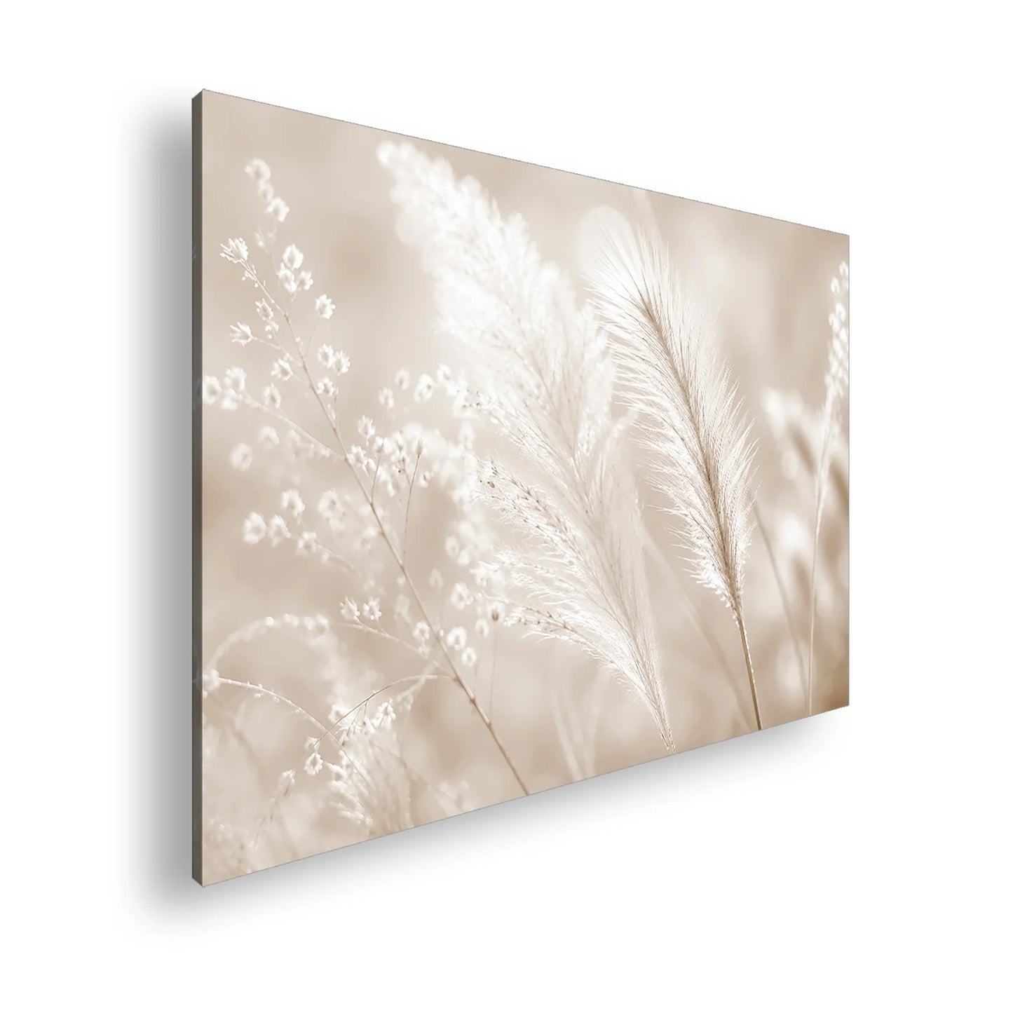 Hauptbild Sepia Standart