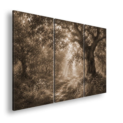 Hauptbild Sepia 3 Teilig