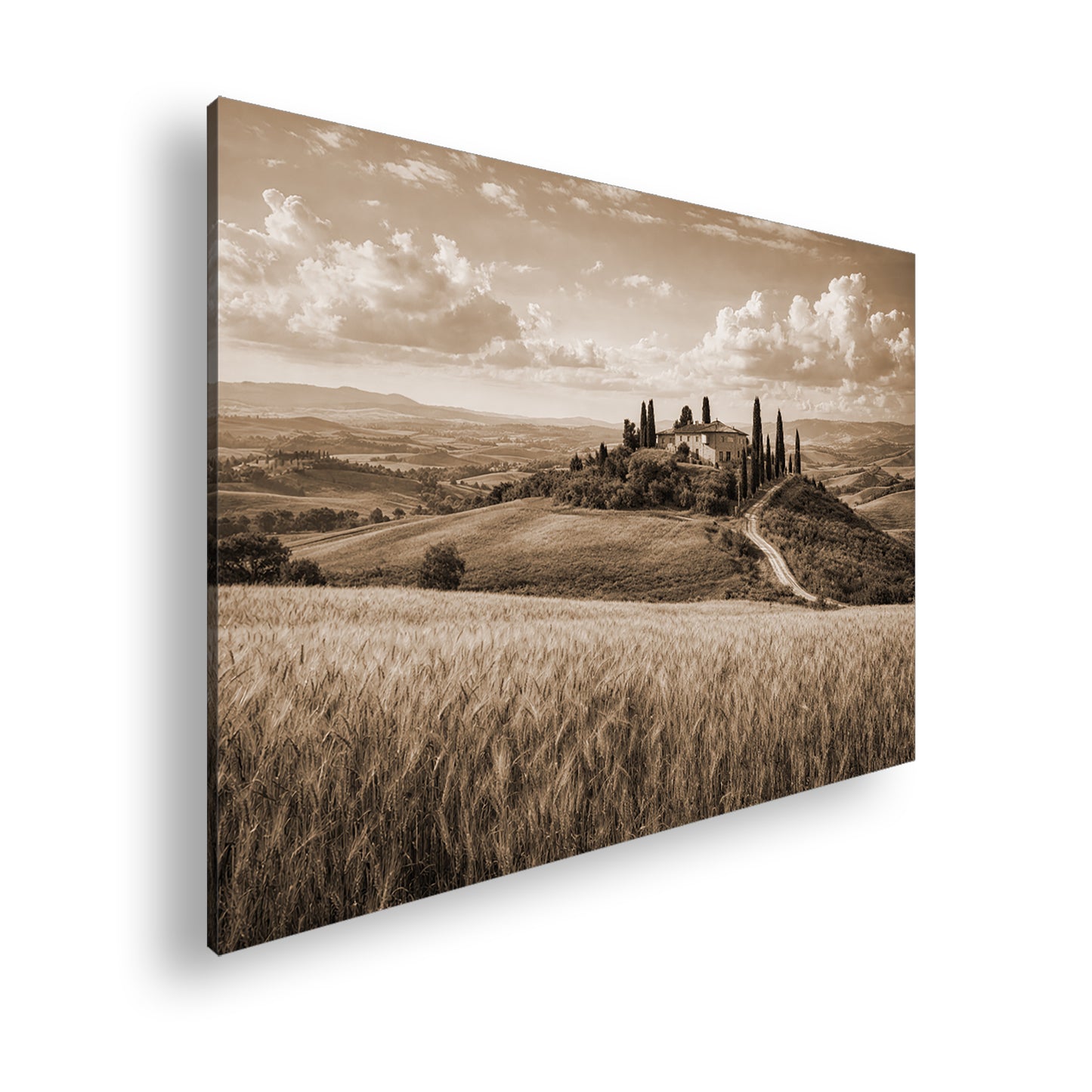 Hauptbild Sepia Standart