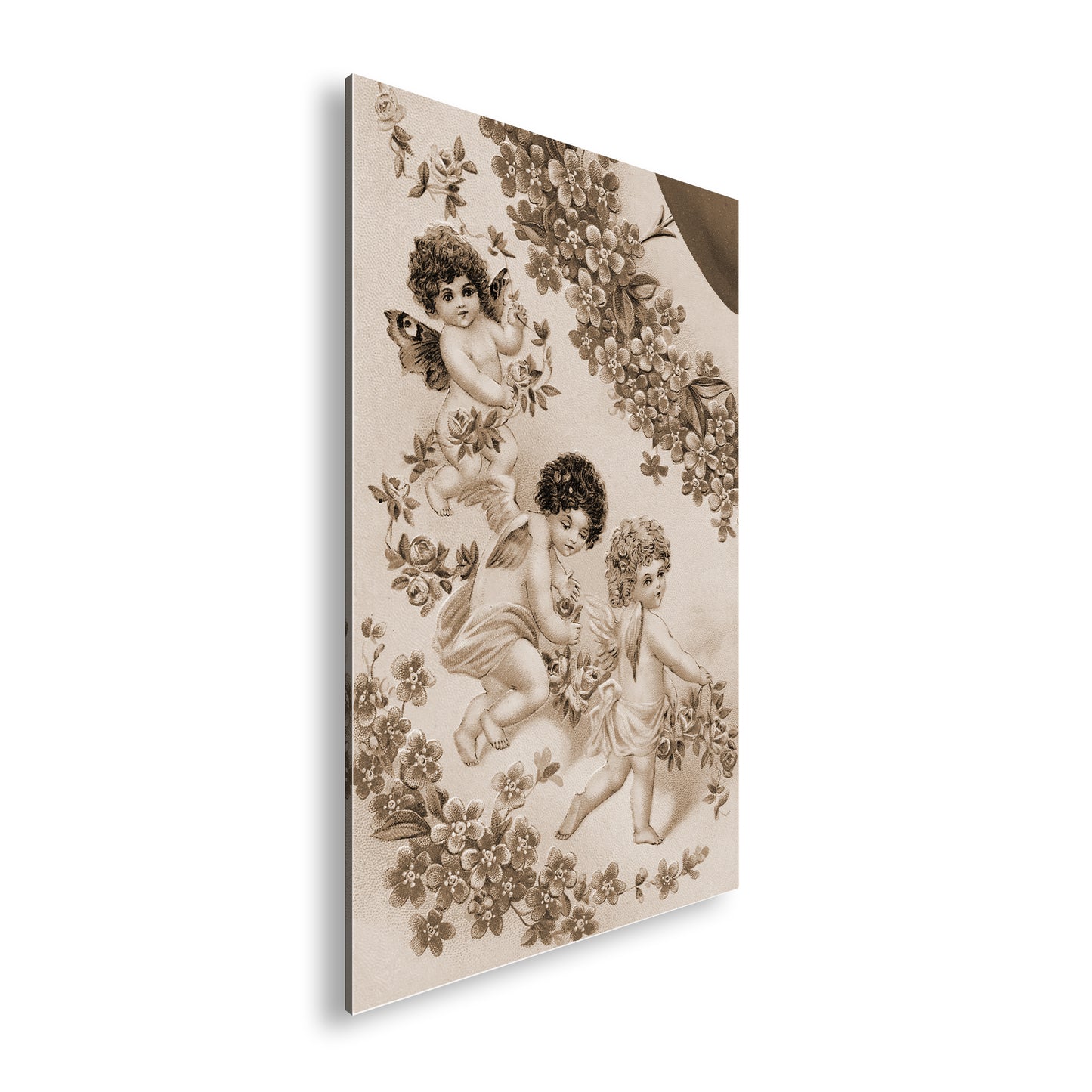 Hauptbild Sepia Standart