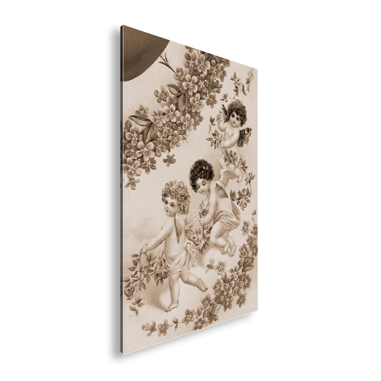 Hauptbild Sepia Standart