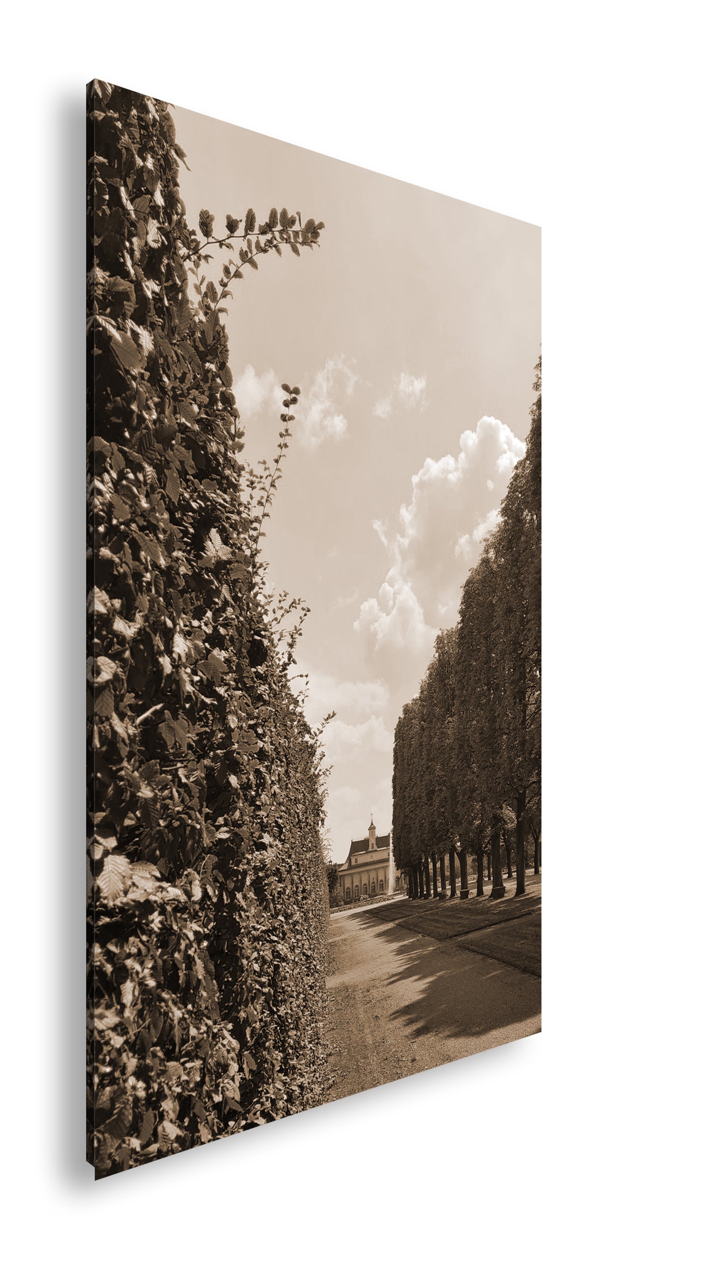 Hauptbild Sepia Standart