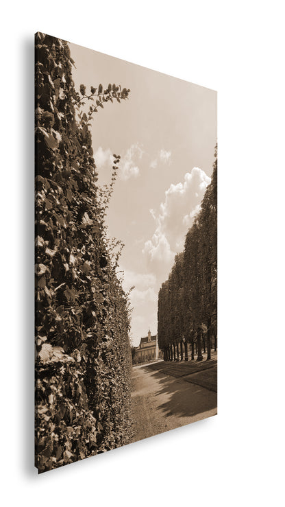 Hauptbild Sepia Standart