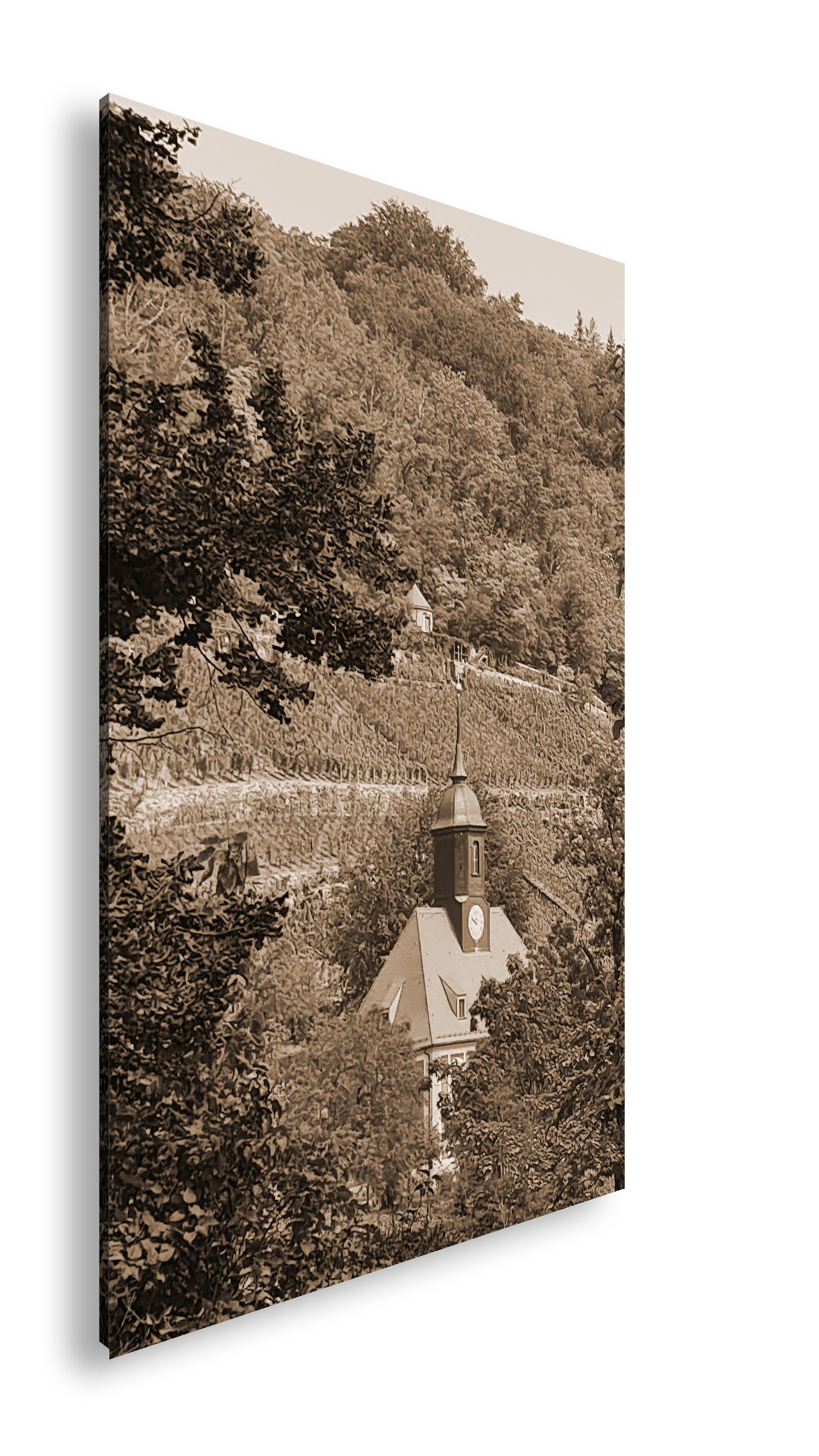 Hauptbild Sepia Standart