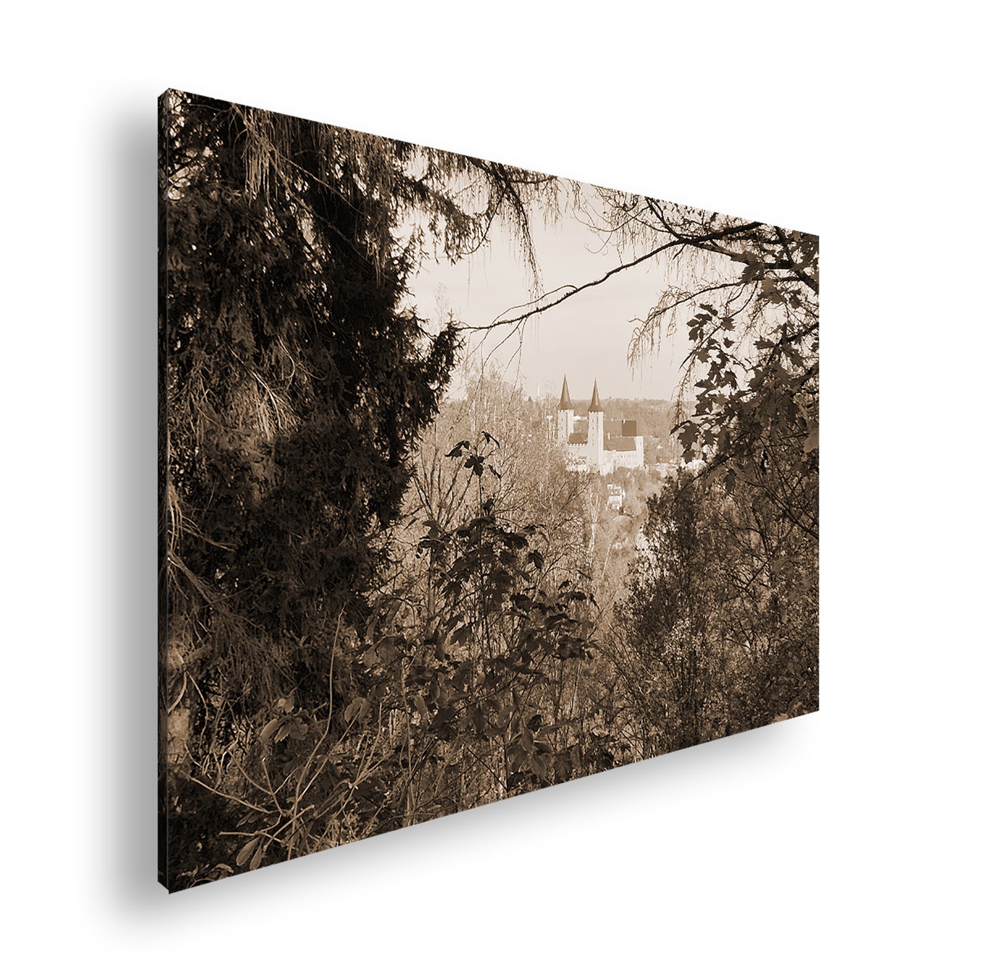 Hauptbild Sepia Standart