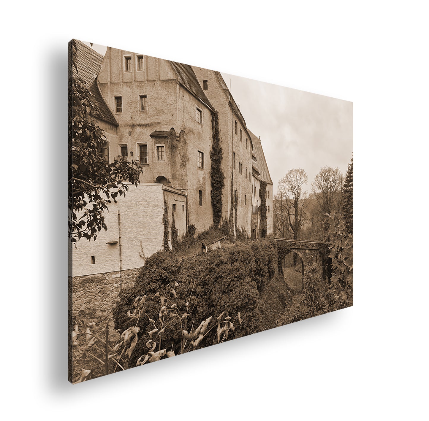 Hauptbild Sepia Standart