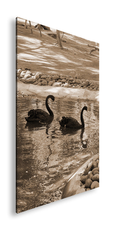 Hauptbild Sepia Standart