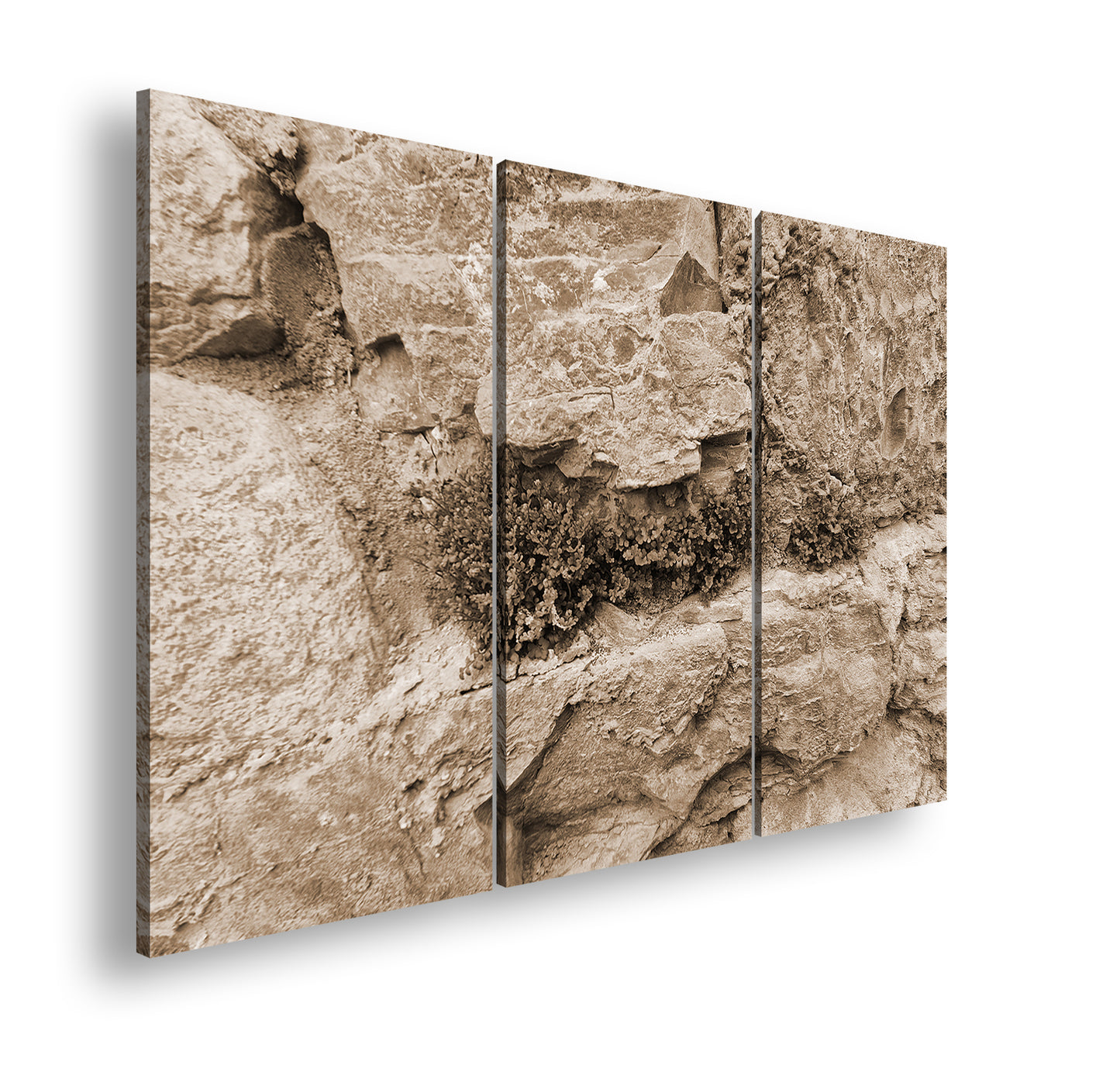 Hauptbild Sepia 3 Teilig